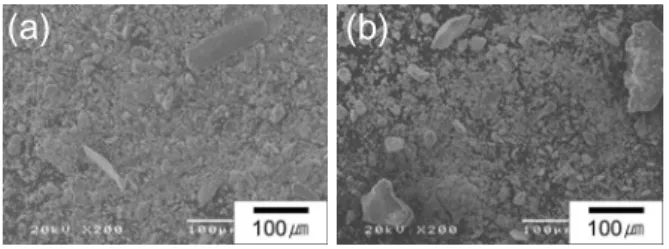 Fig. 4 SEM micrographs of worn surfaces of the Fe  specimens tested at 10N: (a) high wear-rate  specimen marked as A in Fig