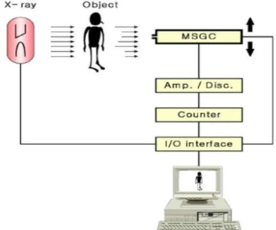 Table 1. Structure parameters of MSGC.