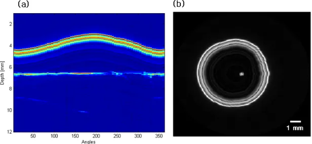 Figure 4. Photoacoustic raw data with a spherical shape scanning at 5ostepwise increase (a) and  tissue phantom cross-sectional image after reconstruction (b).