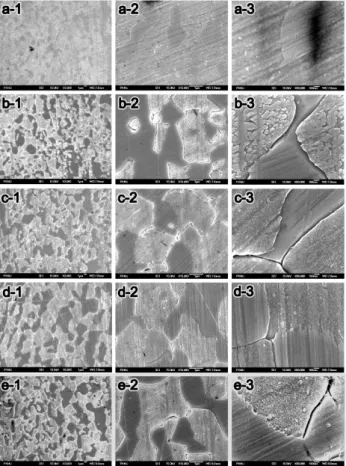 Figure 1. FE-SEM  micrographs  of  3,000×  (1),  15,000×  (2)  and  60,000×  (3)  for  the  specimens  after  simulated  complete  firing  and  rebake