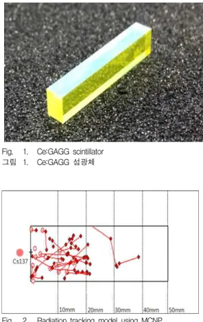 Fig. 2. Radiation tracking model using MCNP 그림 2. MCNP를 이용한 방사선 추적 모델