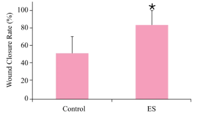 Figure 1. Rate of wound closure in control and ES groups. 