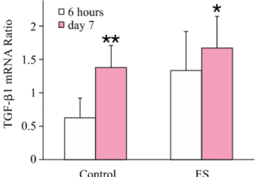 Figure 4. ES increases the expression of TGF-β1 at trans- trans-criptional level. RT-PCR products were analyzed by 2% 