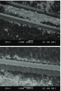 Fig. 7 (a) New tool, (b) v =50,000rpm, f=80mm/min,  D.O.C=10㎛/step, (c) v =50,000rpm, f=40mm  /min, D.O.C=10㎛/step  와  유사하게  절입량  증가에  따른  절삭부피  증가 로   형상가공  품질이  현저하게  저하됨을  확인하였 다