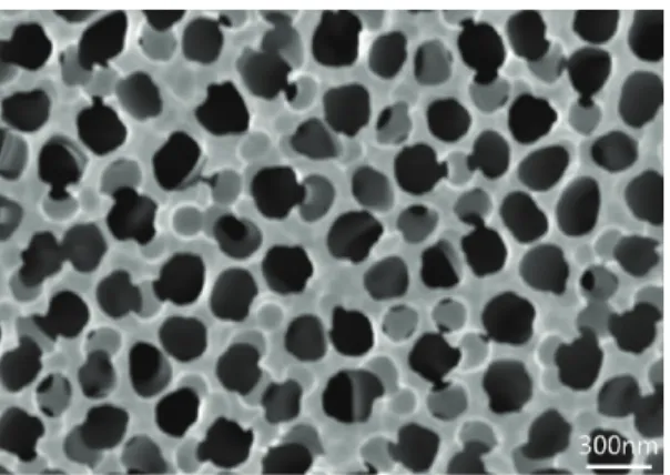 Fig. 1 The SEM image of AAO(Anodic Aluminum  Oxide)[7]  으로  제작된  산화알루미늄은 Fig. 1과  같이  벌집모 양의   일정한  나노  크기의  구멍(nano-hole)들을  갖 는다