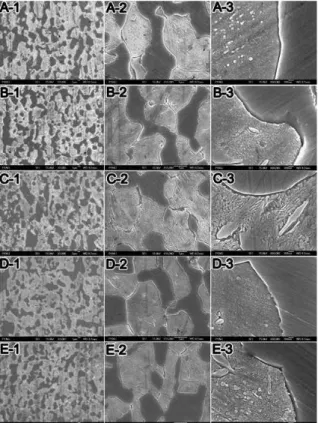 Figure 2. FE-SEM micrographs of 3,000× (1), 15,000× (2)  and  60,000×  (3)  for  the  specimens  after  simulated  complete firing and holding