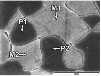 Figure 3. FE-SEM micrograph of 1,8000× for holding- treated 
