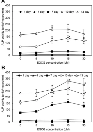 Figure  2.  Alkaline  phosphatase  activity  of  HDPCs  in  the  presence  of  EGCG.  HDPCs  were  grown  in  basal  media  (BM)  (A)  and  differentiation  media  (DM)  (B)  with  EGCG