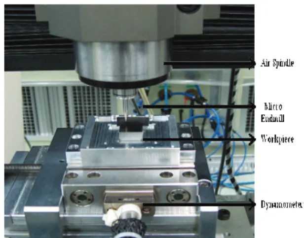 Fig. 5 Cutting tool (flat endmill Ø0.1 ㎜) 