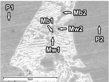 Figure  7.  FE-SEM  image  of  the  specimen  aged  at  450  ℃  for  20,00 0  min.