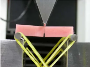 Figure  7.  Stress  distributions  of  diametral  tensile  test  specimen and typical specimen’s size for dental materials  showing  compressive  and  tensile  stresses.