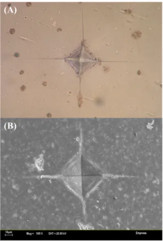Figure  11.   Light  microscope  phograph  of  dental  porcelain  containing  no  crystals  (A)  and  scanning  electron  microscope  phograph  of  leucite-containing  porcelain  showing  crack  deflection.