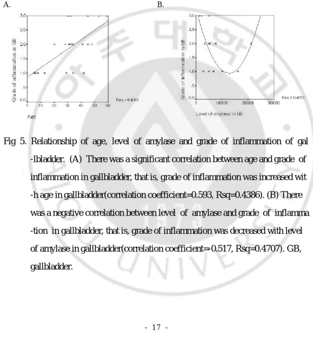 Fig  5.  Relationship  of  age,  level  of  amylase  and  grade  of  inflammation  of  gal       -lbladder