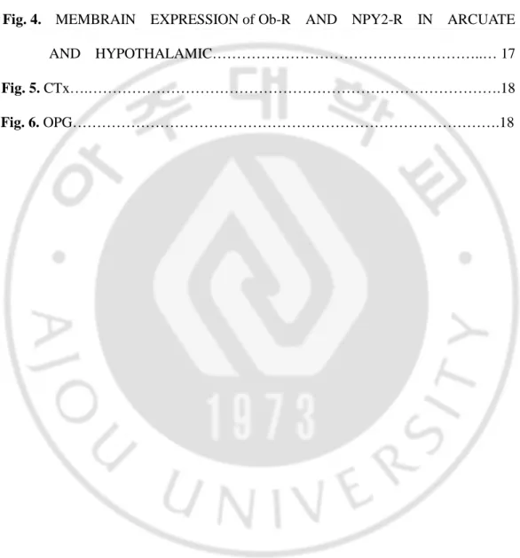 Fig. 1. BODY WEIGHT ………..……………………………………………………..15  Fig. 2. BODY COMPOSITION ……………………………………………………….15  Fig