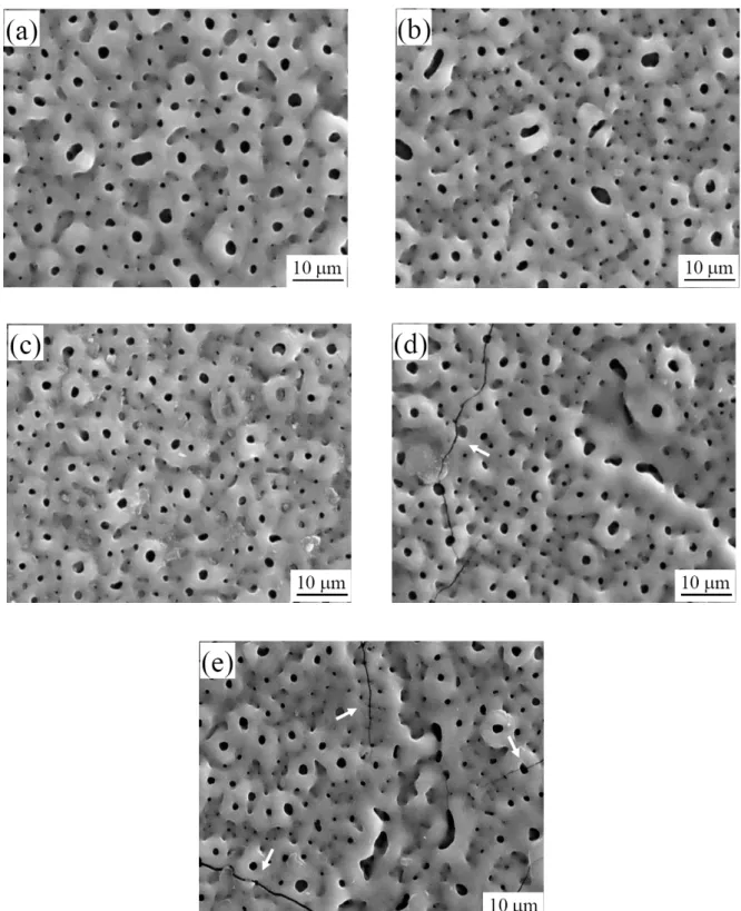 Fig. 1 Surface morphologies of the oxide layer on the AZ91 Mg alloy : (a) the sample without SA treatment, and the  sample annealed at (b) 100, (c) 150, (d) 200, and (e) 250 °C, respectively 