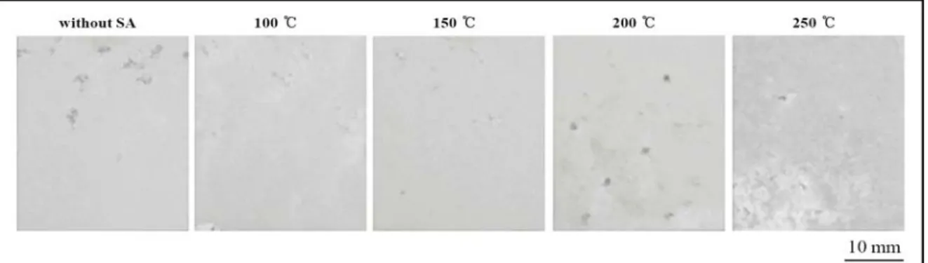 Fig. 8 Surface of the samples annealed at four SA temperatures after corrosion tests for 10 days  한  경우,  내부식성은  오히려  감소하였다