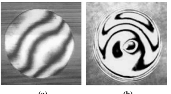 Fig. 4 Irregular interference patterns by poor molding  conditions : (a) curved interference, (b) multi  curvature interference pattern pattern 