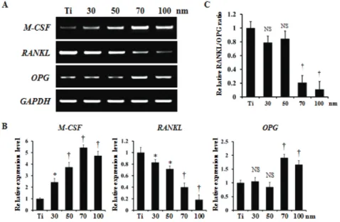 Figure 5. The effect of TiO 2  nanotubes on expression of osteoclast differentiation factors.