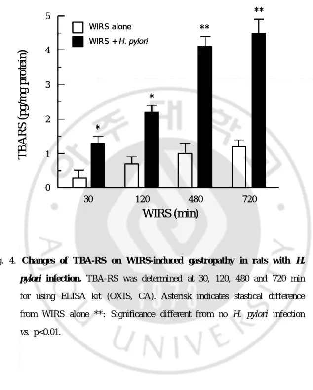 Fig.  4.  Changes  of  TBA-RS  on  WIRS-induced  gastropathy  in  rats  with  H. 