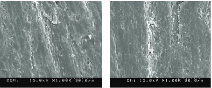 Figure   4.  Me an viable   ce lls (CFU/100  μL) of  C. albicans  of e ach group after 24 hour incubation