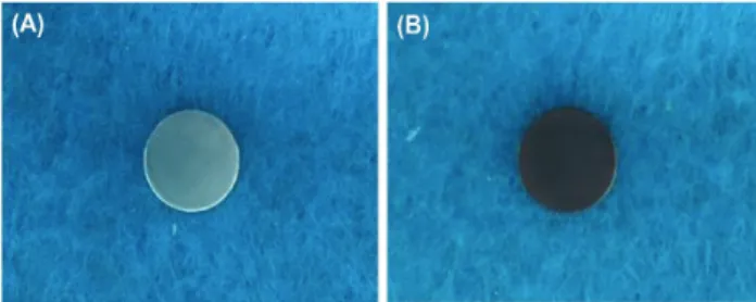 Figure 1. Changes in the color of dopamine upon polymerization to polydopamine according to immersion method: (A) non-coated titanium  plate,  (B)  polydopamine-coated  titanium  plate.