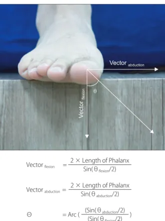Figure 3. Diagram depicting method of determining the degree of  proximal phalanx in frontal plane (θ).