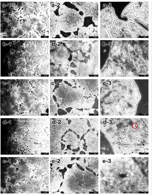 Figure 4.  Microstructural changes by post-firing heat treatment [(a): as-cast, (b): complete firing simulated specimen  of  (a)  at  stage  3,  (c):  post-firing  heat  treated  specimen  for  5min  of  (b),  (d):  post-firing  heat  treated  specimen  fo