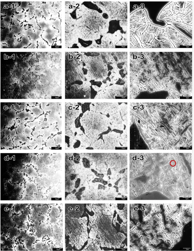 Figure 5.   Microstructural changes by post-firing heat treatment [(a): as-cast, (b): complete firing simulated specimen  of  (a)  at  stage  0,  (c):  post-firing  heat  treated  specimen  for  5min  of  (b),  (d):  post-firing  heat  treated  specimen  f