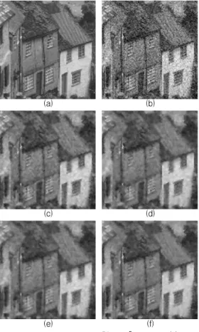 Fig. 5. Zoom-in results with “Goldhill” image : (a) original image, (b) noisy image (    ), (c) ABF, (d) FAEA, (e) CADD, (f) proposed algorithm