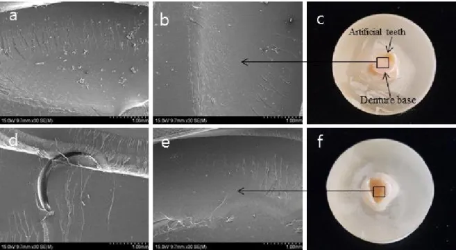 Figure 6. Mixed failure of fractured surface by FE-SEM images (magnification × 30); a: H group, b: HP group, c: Mixed  failure  surface  of  H  &amp;  HP,  d:  HR  group,  e:  HRP  group,  f:  Mixed  failure  surface  of  HR  &amp;  HRP.
