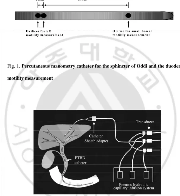 Fig. 1. Percutaneous manometry catheter for the sphincter of Oddi and the duodenal 