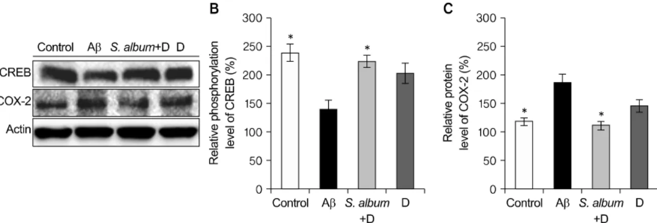 Fig. 2. Expression of p-CREB and COX-2 in SH-SY5Y cells. (A) To evaluate the protein level of p-CREB and COX-2 expression, cells were incubated  with 200 μg/ml S