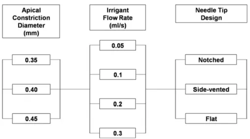 Figure  3.  Details  of  the  experimental  groups. 4. 통계 분석 근단  협착부  직경,  세척액  주입속도,  주사침  말단의  형상 에  따른  AP의  비교를  위해  삼원배치  분산분석(three-way  ANOVA)를  시행하였다(n=5)