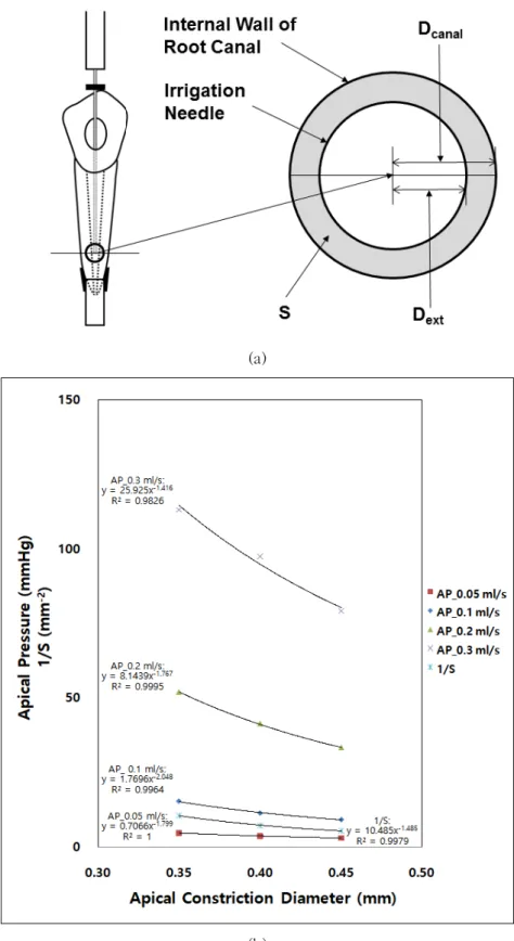 Figure 6. (a) Cross-sectional diagram at the tip of the needle (D canal : diameter of the root canal, D ext : external diameter of the needle, 