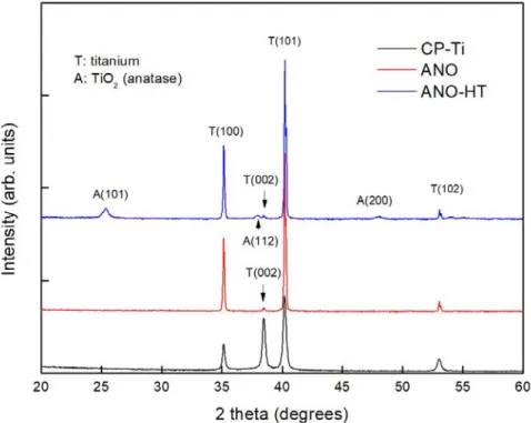 Figure  2.  X-ray  diffraction  patterns  for  CP-Ti,  ANO,  and  ANO-HT  groups.