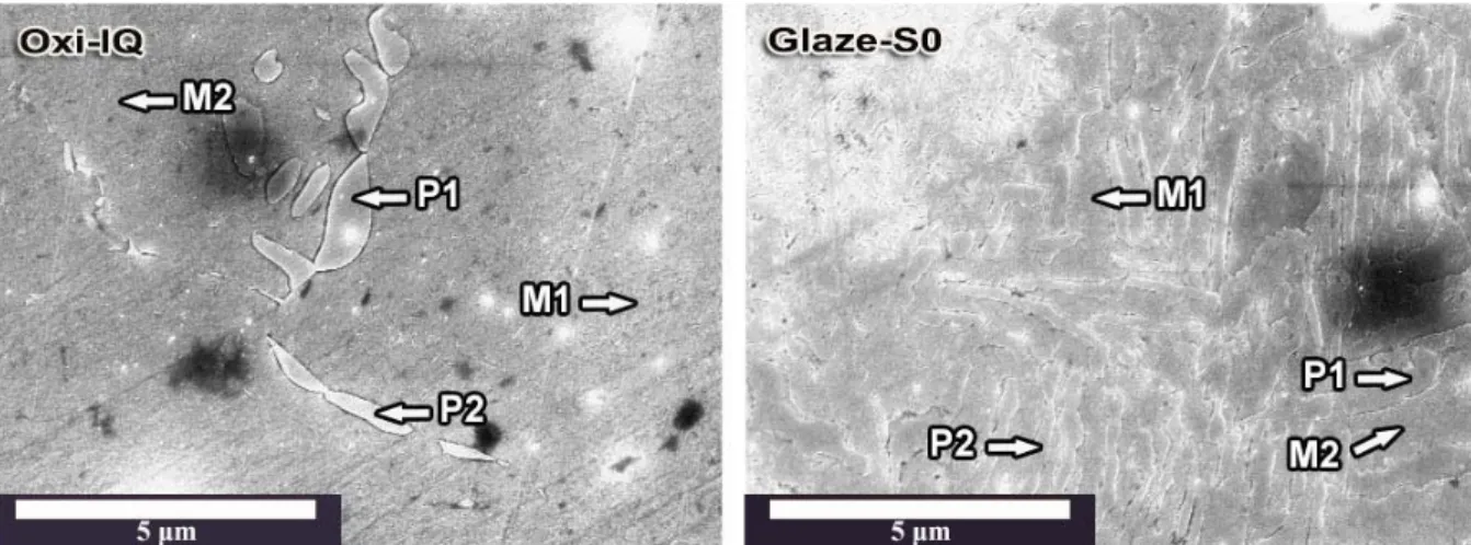 Figure  6.  FE-SEM  image  after  oxidation  and  glaze:  ice-quenched  after  oxidation  (Oxi-IQ)  and  bench-cooled  at  Stage  0  after  glaze  (Glaze-S0)  at  magnification  of×10,000,  M:  matrix,  P:  precipitate.