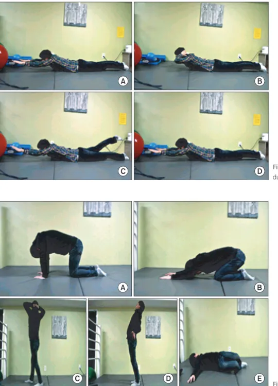 Figure 1. Lumbar extensor muscle en- en-du rance exercise