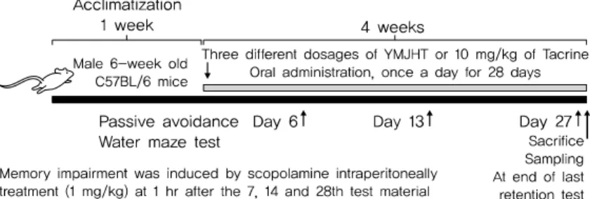 Fig. 1. Experimental Design Used in This Study.