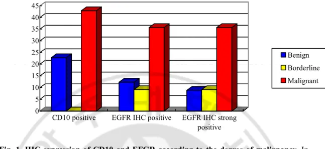Fig.  1.  IHC  expression  of  CD10  and  EFGR  according  to  the  degree  of  malignancy