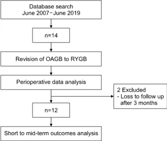Fig.  1.  Patient  selection  flow  chart.