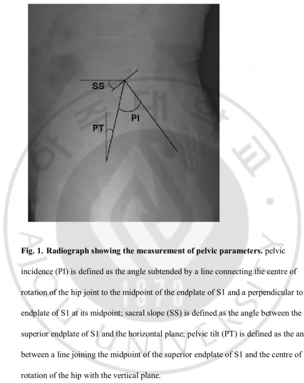 Fig. 1. Radiograph showing the measurement of pelvic parameters. pelvic 