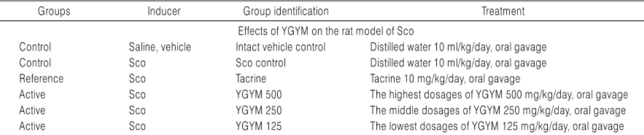 Fig. 1. Experimental Design Used in This Study.