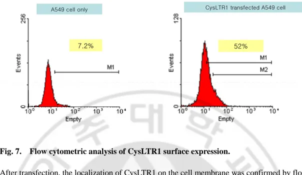 Fig. 7.    Flow cytometric analysis of CysLTR1 surface expression. 