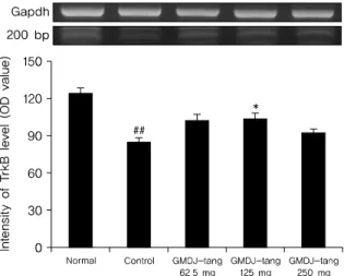 Fig. 3. Effect of GMDJ-tang administration on the TrkB activity in CMS  rats.