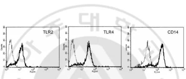 Fig. 2. TLR2, TLR4 and CD14 were expressed in surface human melanocytes. Surface 