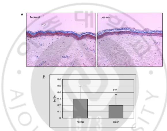Fig. 7. Immunohistochemical analysis of TLR2 expression in vitiligo. (A) The expression 