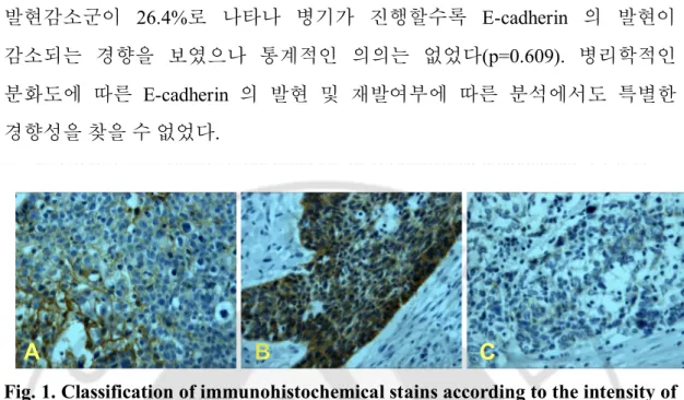 Fig. 1. Classification of immunohistochemical stains according to the intensity of  E-cadherin  expression  in  hypopharyngeal  SCC  tissue
