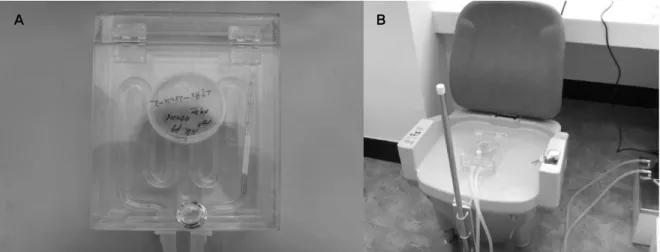 Figure 1. Human ATSCs plated on petridish (35mm diameter) were incubated in plastic chamber (A)  in which the temperature of 37±0.5 °C was maintained by circulating warmed water, and placed at the center of the top surface with 4 cm distance from the coil 