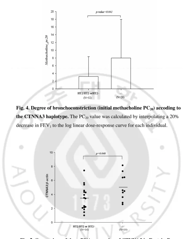 Fig. 4. Degree of bronchoconstriction (initial methacholine PC 20 ) accoding to  the CTNNA3 haplotype