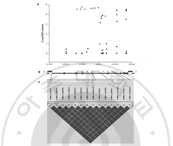 Fig.  6.  Summary  of  genome-wide  association  results  and  linkage  disequilbrium  structure for CTNNA1